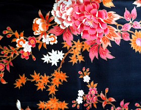 деталь дизайна ткани кимоно Запретный Сад